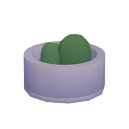 cactus plant pot