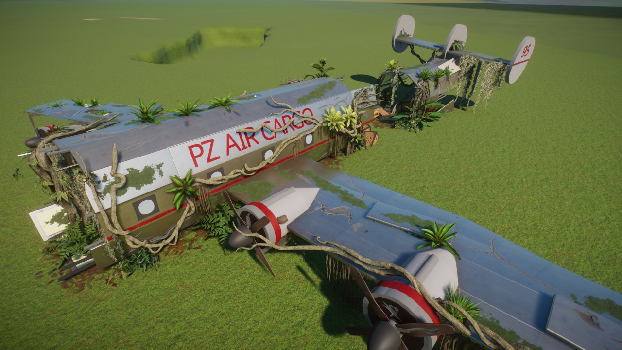 Overgrown Cargo Airplane Fuselage Wreckage