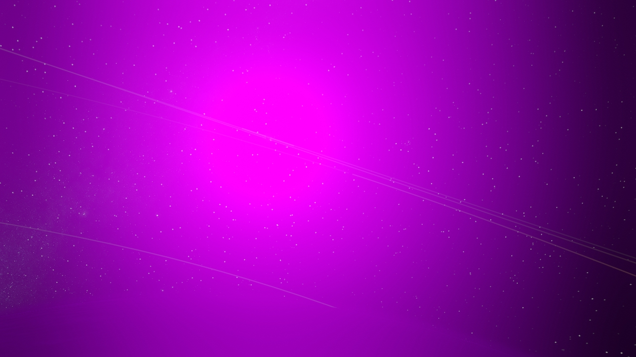 My Simulation 34242131