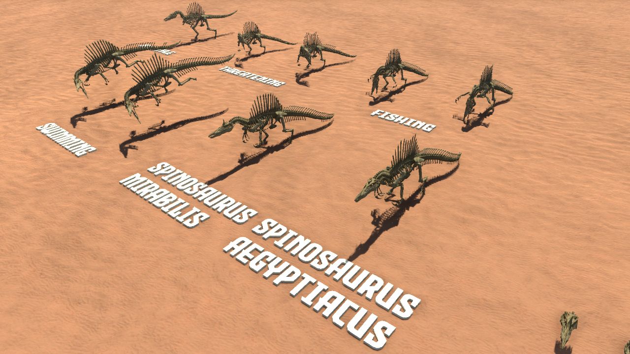 Spinosaurus Aegyptiacus and Mirabilis Skeletons