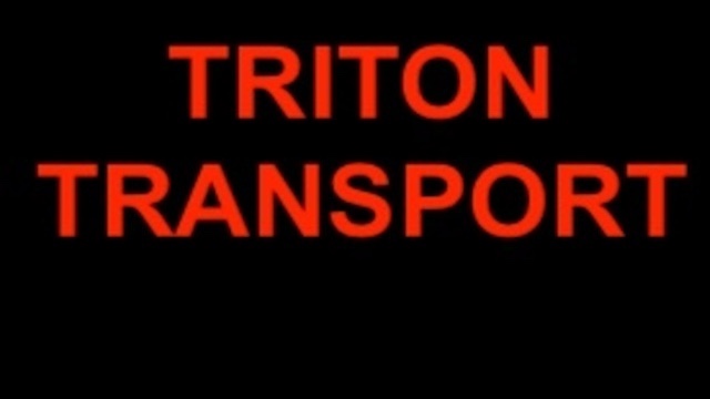 Triton Server Logos