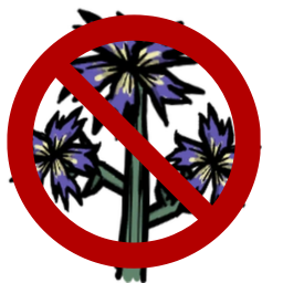 No weed spreading
