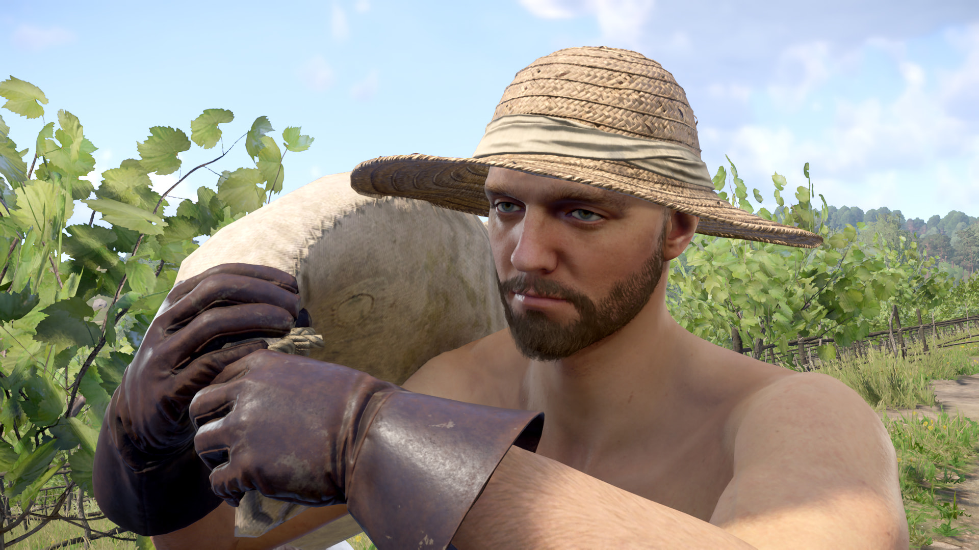 Working in the vineyard