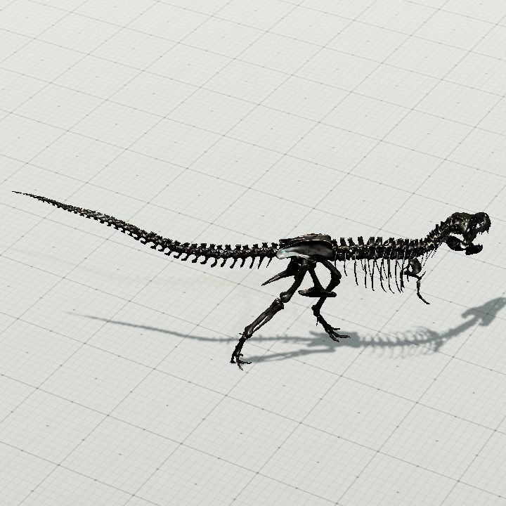 tyrannosaurus_rex_skeleton