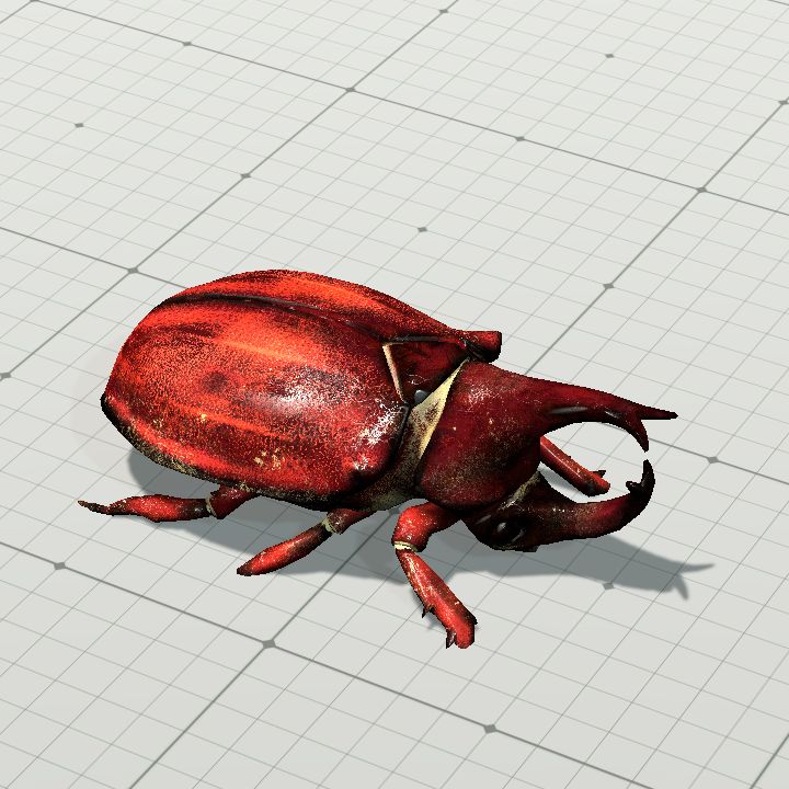 rhino_beetle