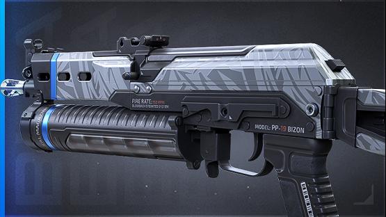 PP-Bizon | NEXUS