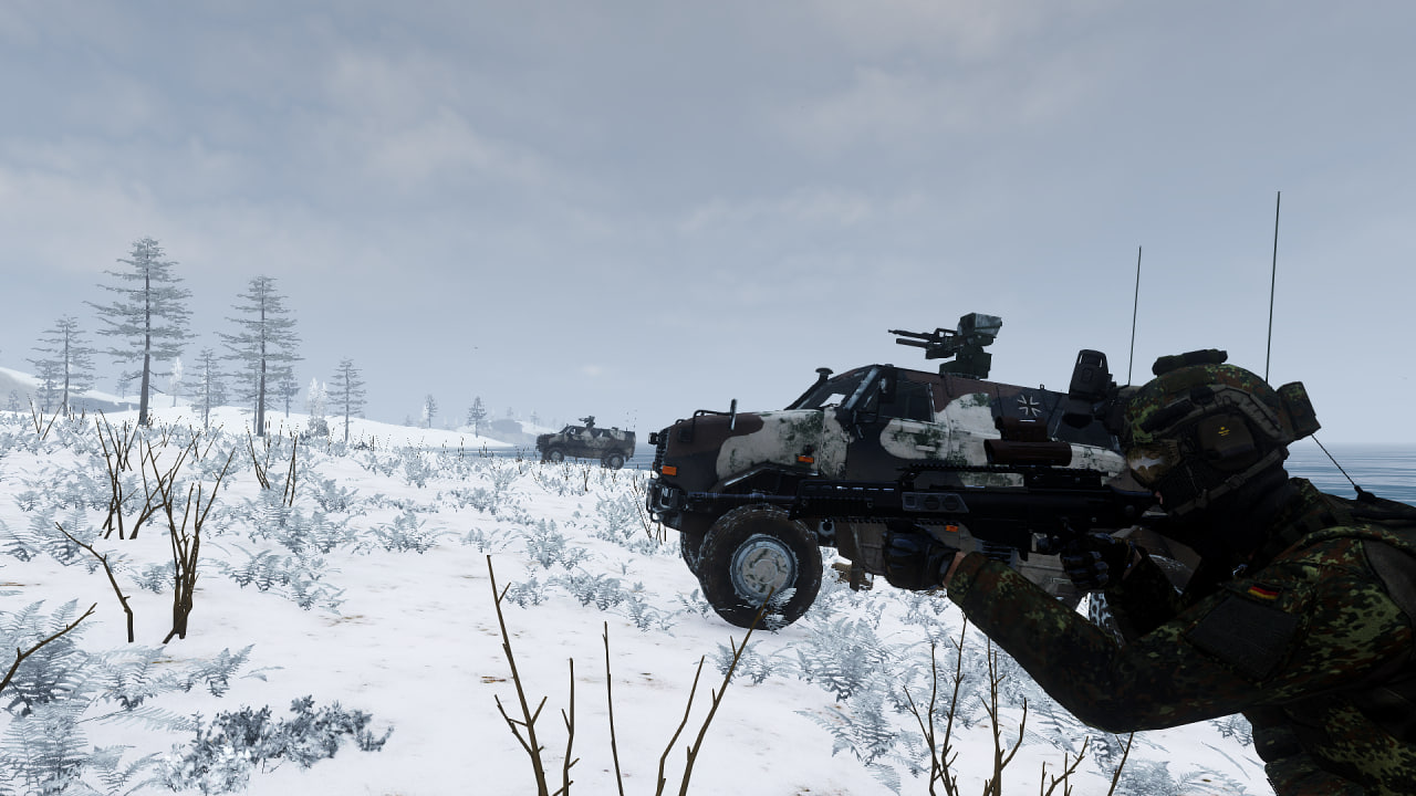German Military Operation 2