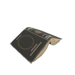 Paused Book