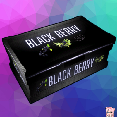 Neon Carbon | Black Berry | Glow