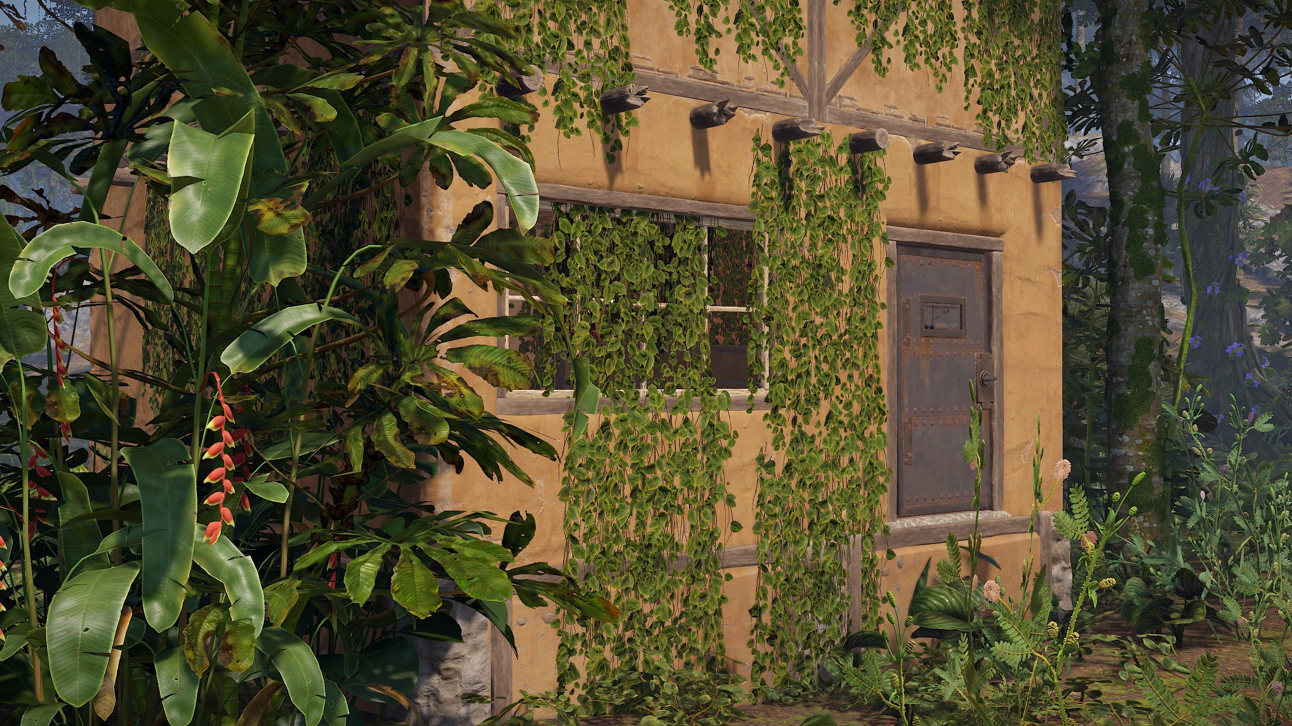 Jungle Ivy thumbnail 2