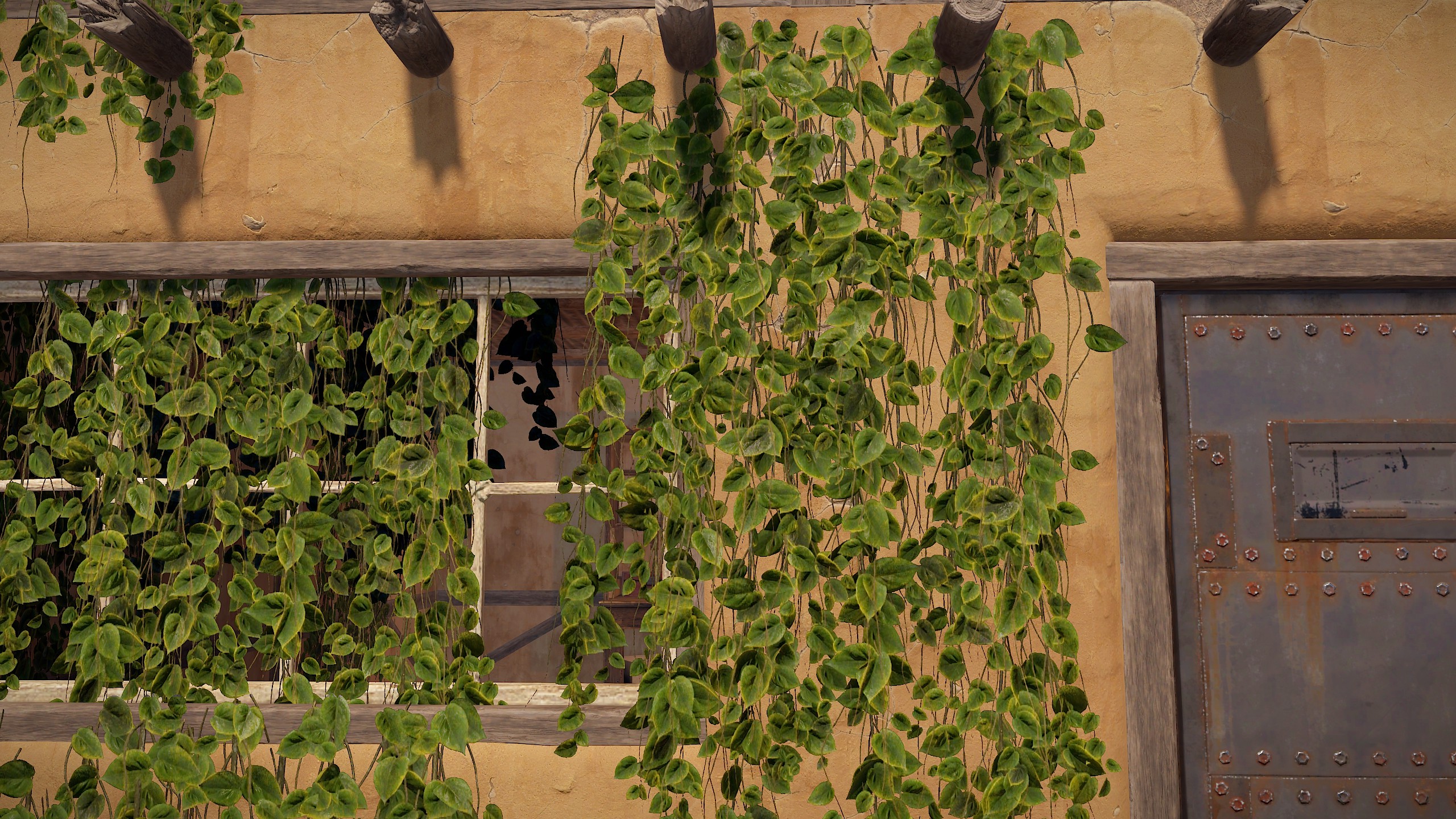 Jungle Ivy thumbnail 3
