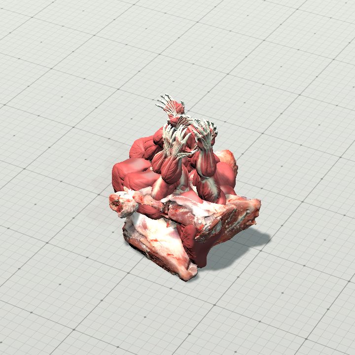 fleshy conglomerate of arms