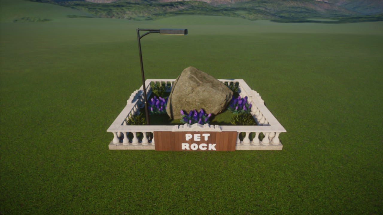 Pet rock