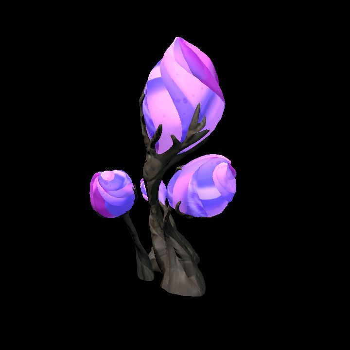 Fey_Plant (6)