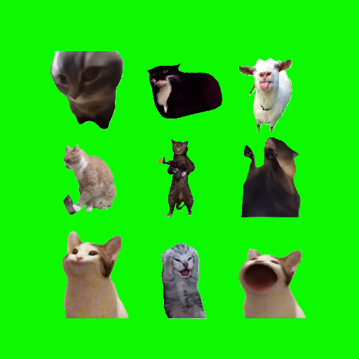 CatMeme Invitation