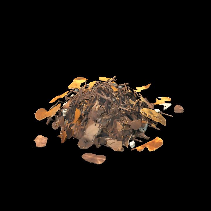Leaf litter 1