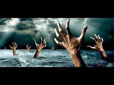 universal flood