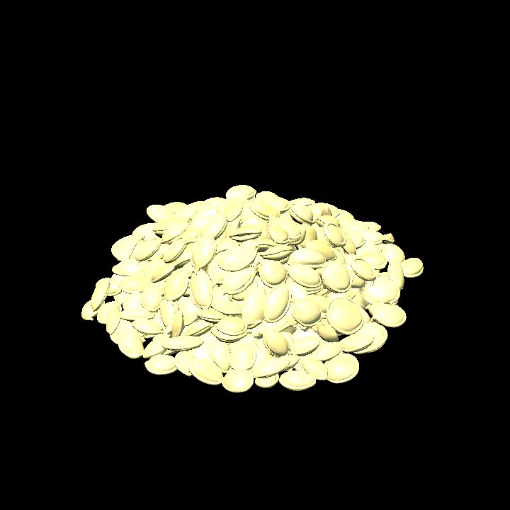 Pile of pumpkin seeds