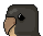 Dodo