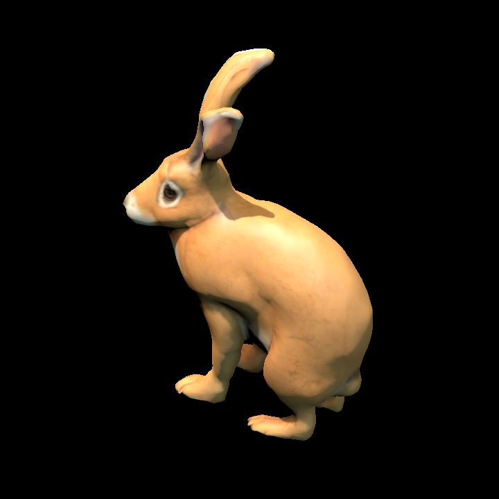 Tan Hare