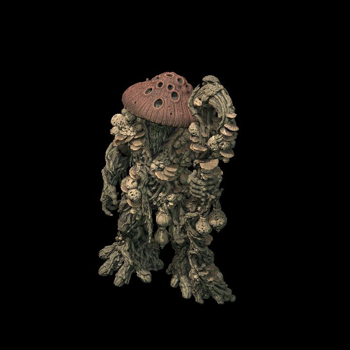 MYCONID SHEPARD