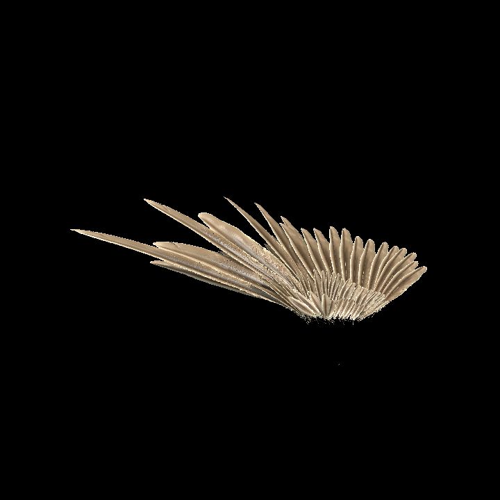 wing feathered 01