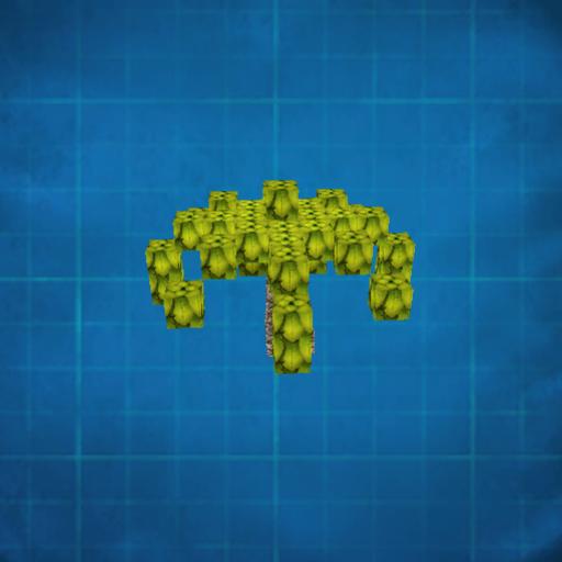 Palm tree 1