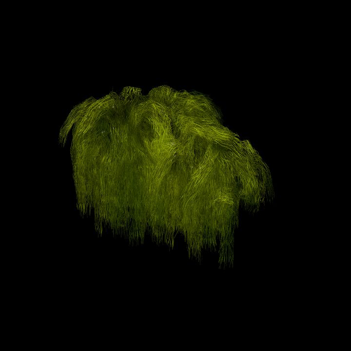 SwampTussockWall_10