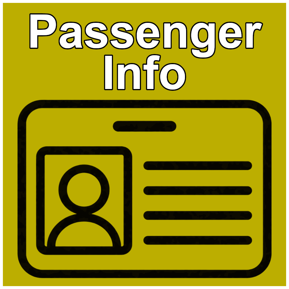 Airport CEO Passenger Info