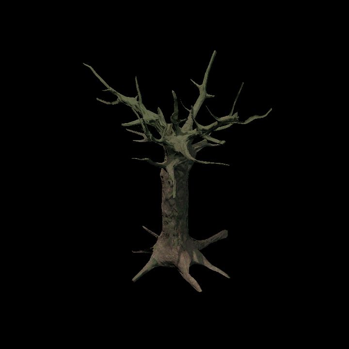 Nature, Tree, Bare 10