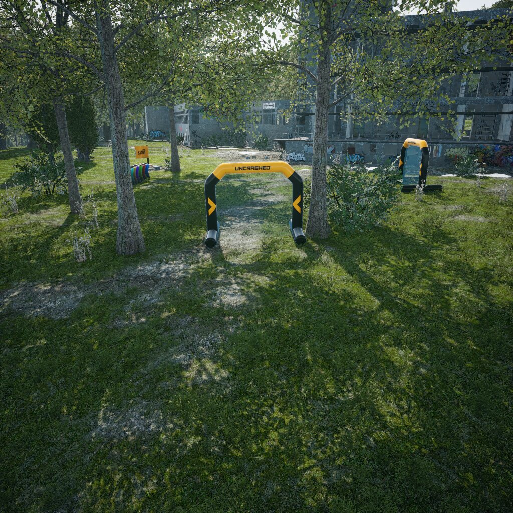 FAKE Park run