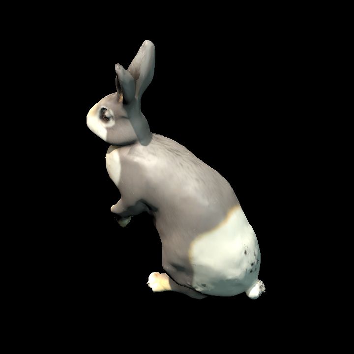 Standing Gray Rabbit