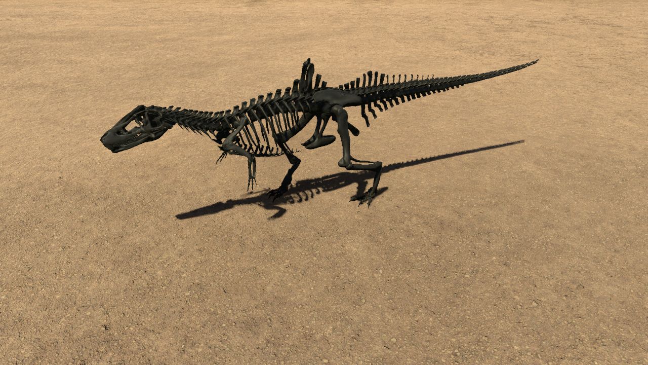 Concavenator Skeleton