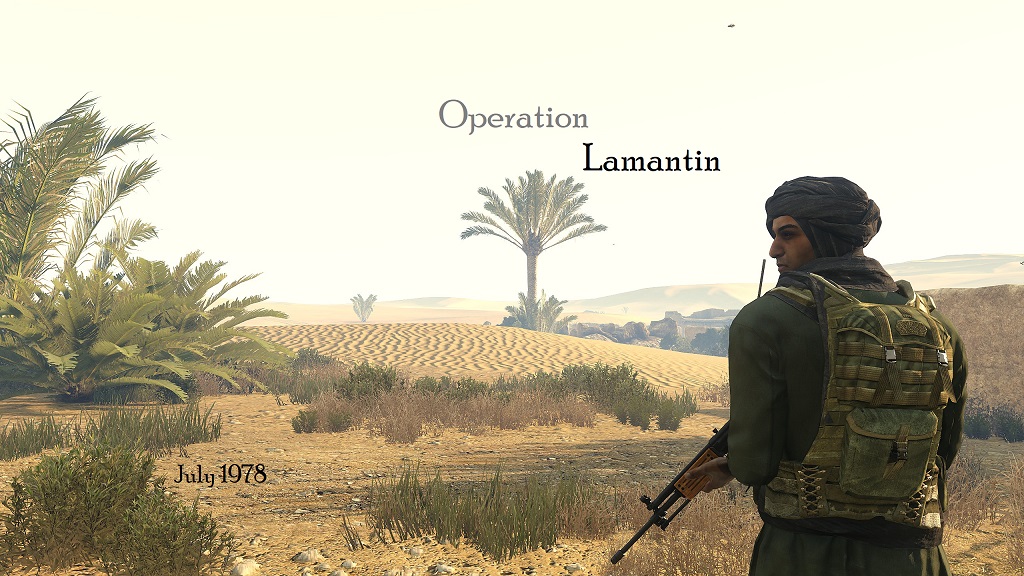 Operation Lamantin