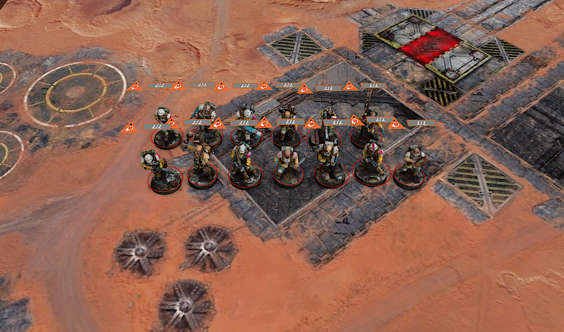 KT24 brood brothers