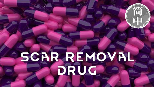Scar Removal Drug 简体中文汉化