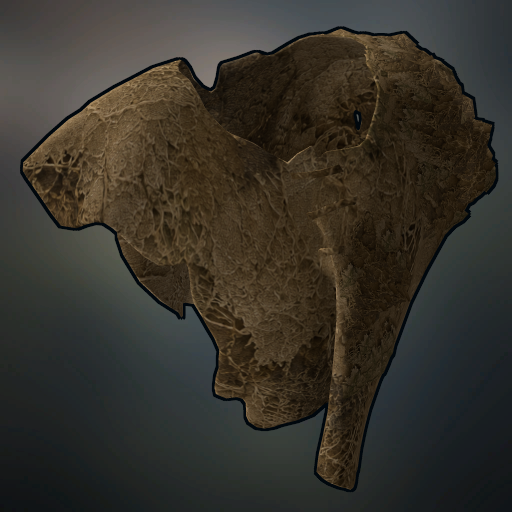 Desert Collection Hide Poncho