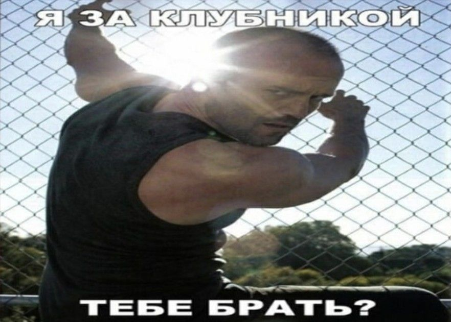 МегаМалина