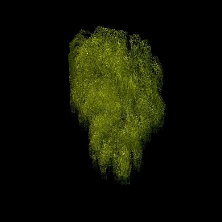 SwampTussockWall_1