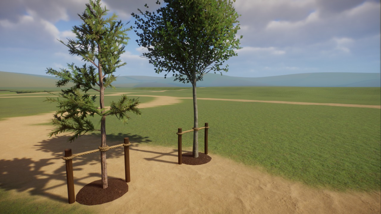 Newly planted trees preview