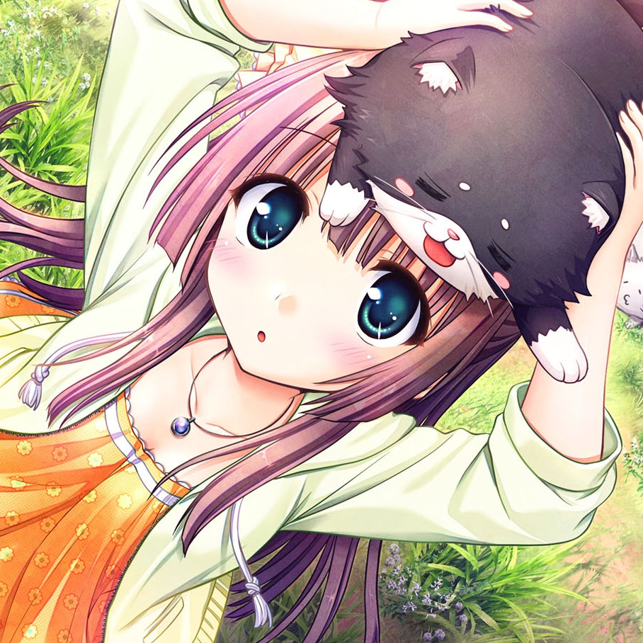 Steam Workshop::大図書館の羊飼い～放課後しっぽデイズ-藤宮朔夜