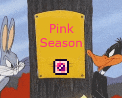 Pink Team is actually Pink