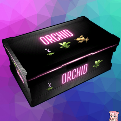 Neon Carbon | Orchid | Glow