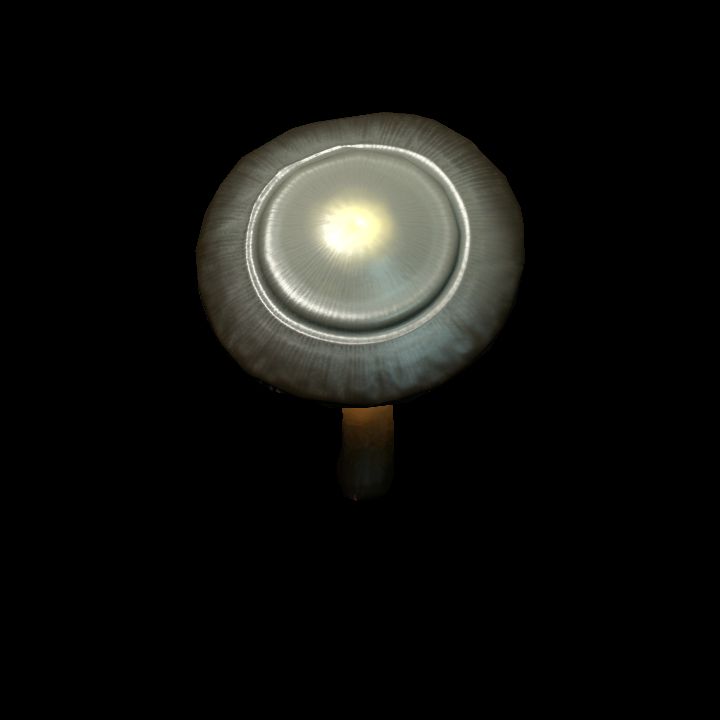 Mushroom_Small_9_2