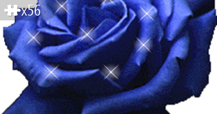 Rosa BLU