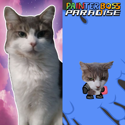 I put my cat in Castle Crashers