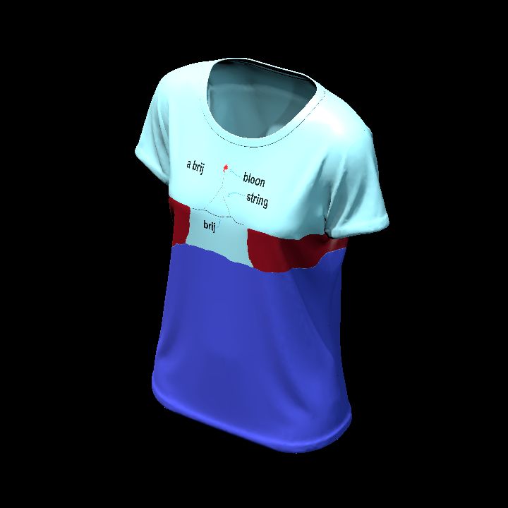 Shirt customised 18