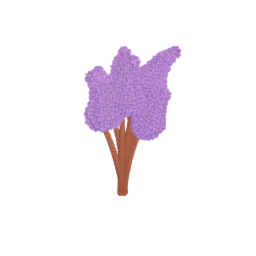 Lilacs