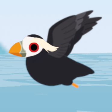 Tufted Puffin