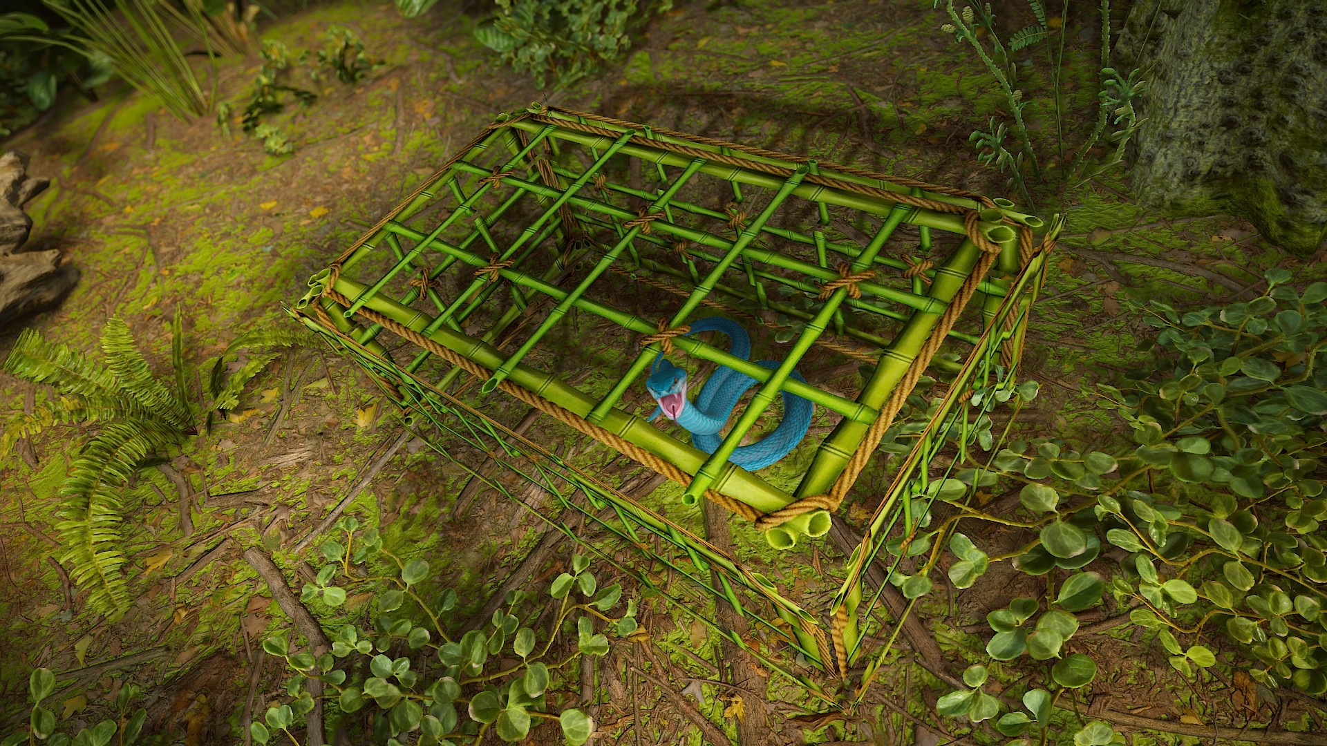 Bamboo Cage Large thumbnail 7